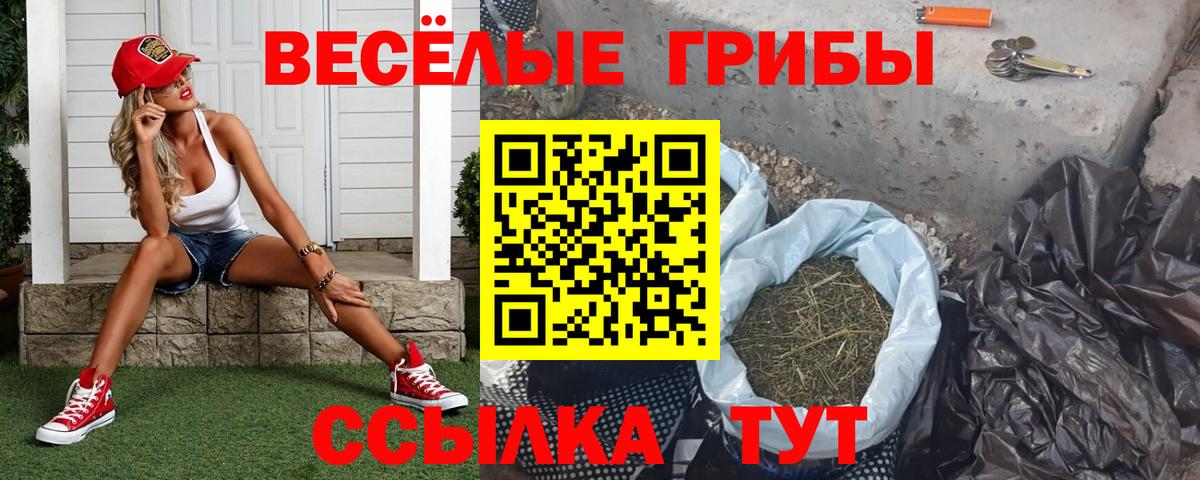 где купить наркоту  Вход с VPN  Алейск  Псилоцибиновые грибы Psilocybe  Псилоцибиновые грибы Psilocybine cubensis 