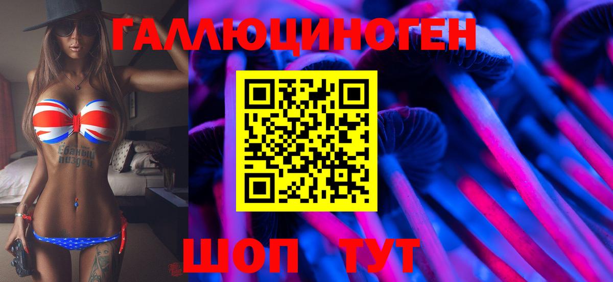 Галлюциногенные грибы Cubensis Алейск